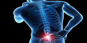 X-ray image illustrates  low back pain which is highlighted in red.